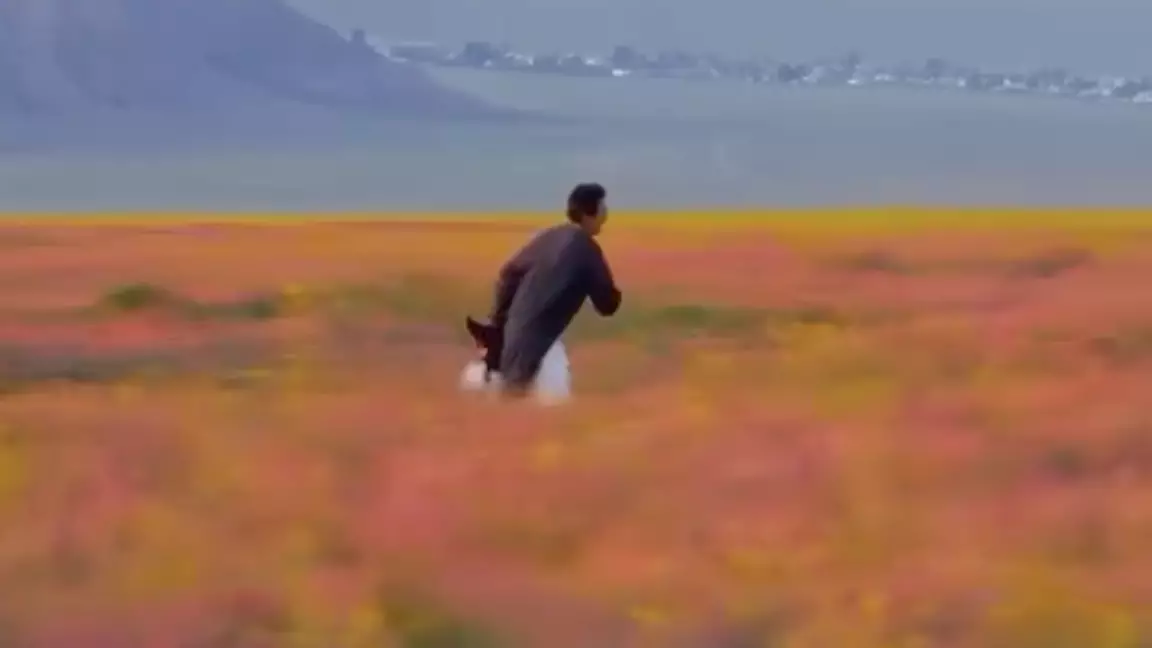 Түркиялық әуекомпанияның Instagram парақшасында қазақстандық саяхатшының видеосы жарияланды