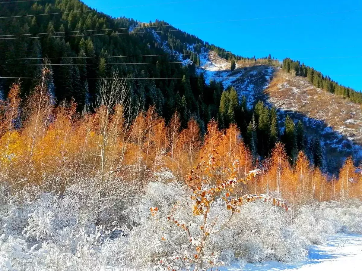 Алматыда 10-16 қараша аралығында ауа райы қандай болады