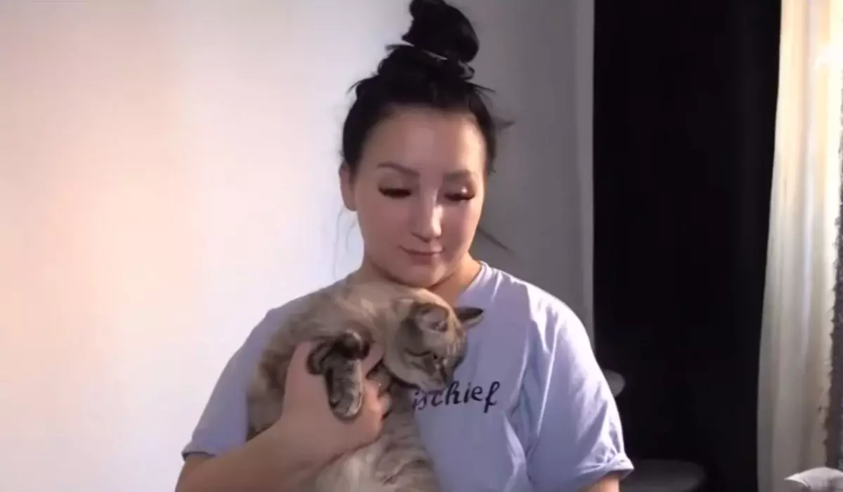 «Продала стиралку ради котов»: девушка из Петропавловска приютила 125 животных (ВИДЕО)