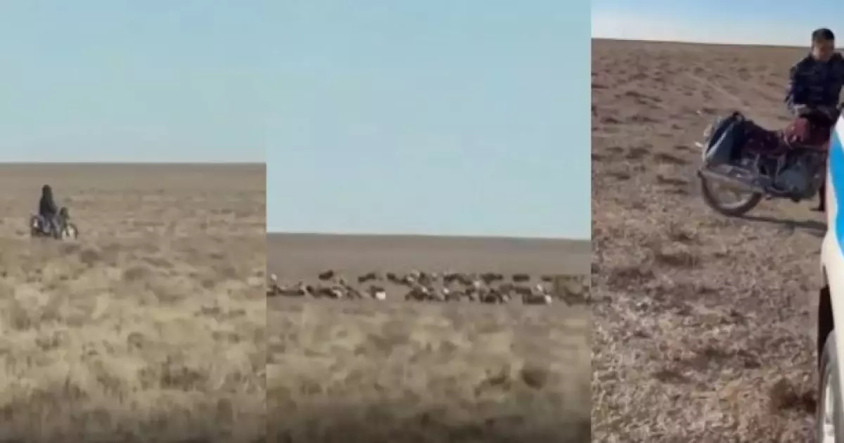  Полицейлер далада малшының мотоциклін алып кетті 