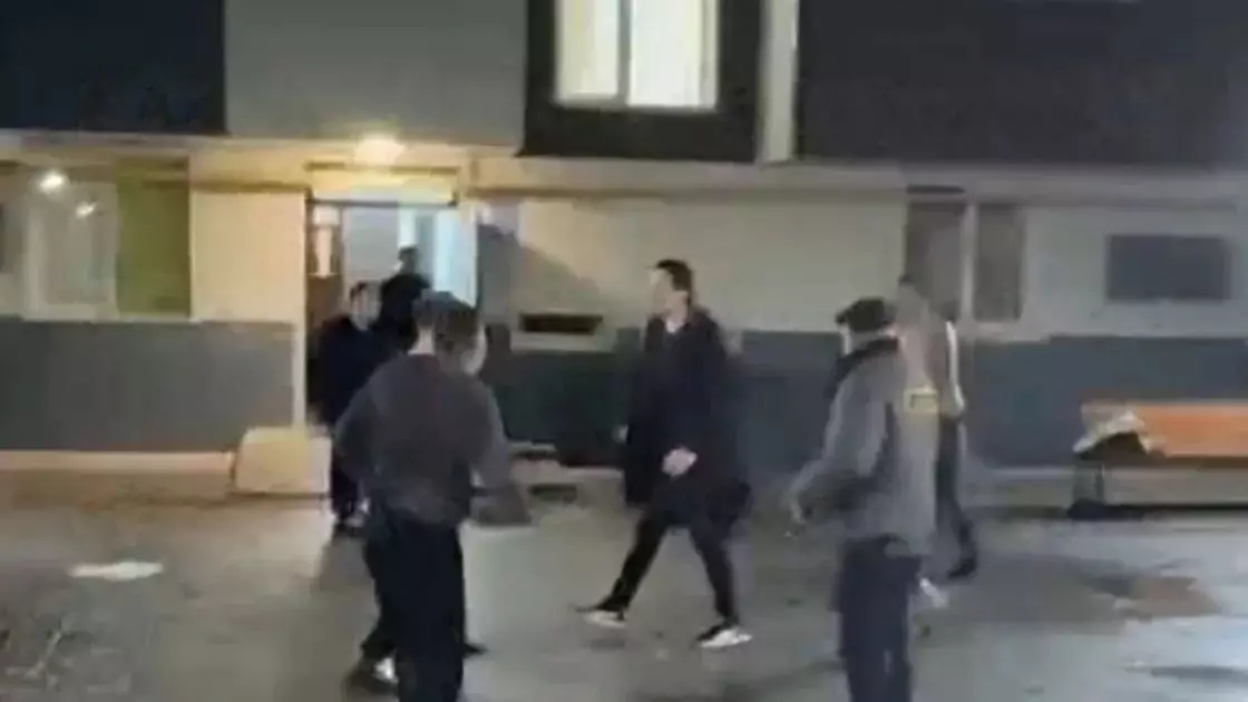 "Полицияны қорқытқан": Алматыдағы жаппай төбелес бойынша тергеу басталды