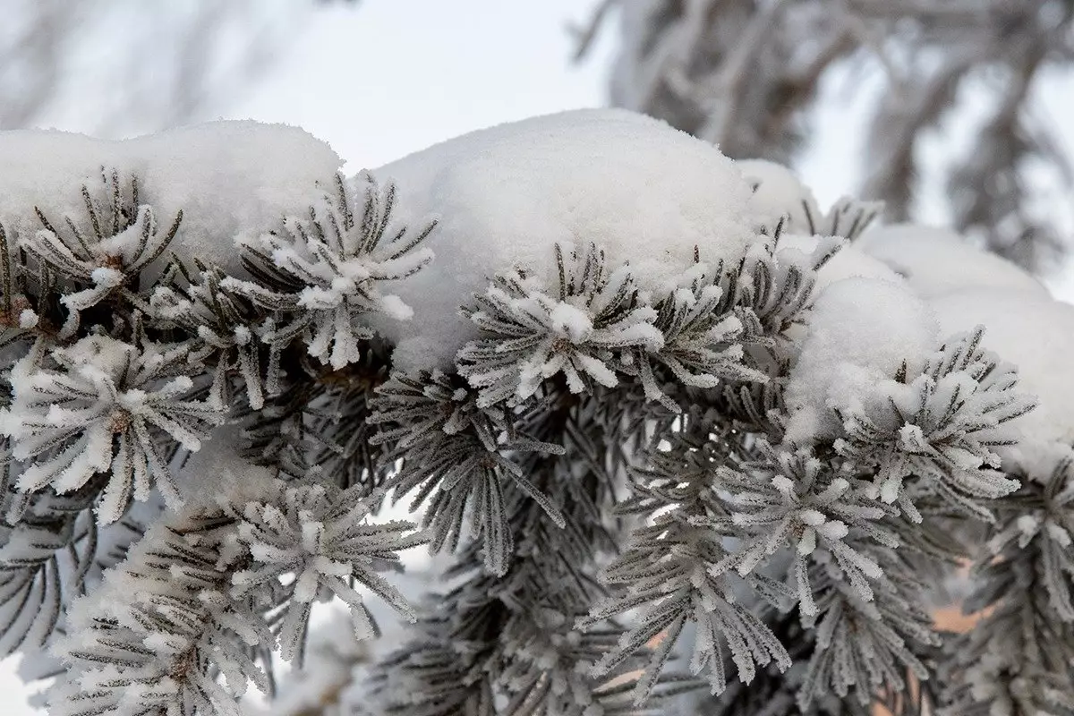 Метели, снег и гололед: непогода обрушится на Астану