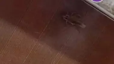 “Асханада тарақандар”: Алматыда балабақша тексеріледі