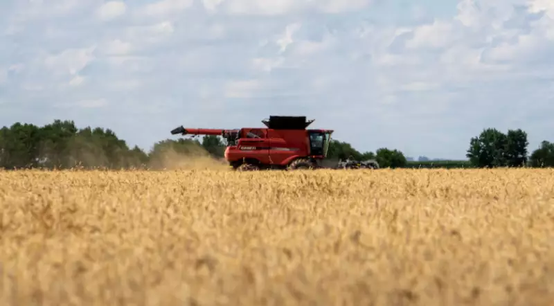 Китай начал ограниченные закупки американской сельхозпродукции