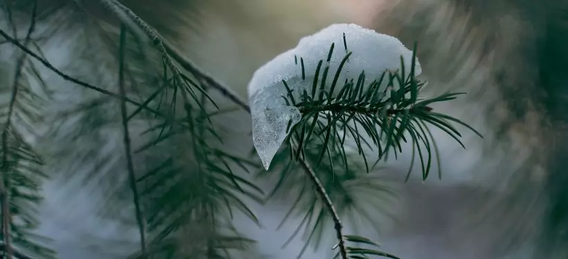 Метели, дождь и снег: штормовое предупреждение объявили в ряде регионов Казахстана