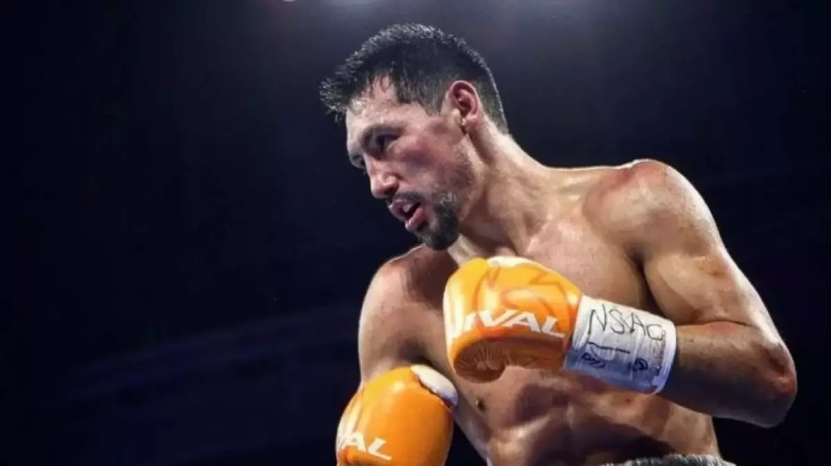 Шетелдік автор Жәнібек Әлімханұлына күмән келтірді