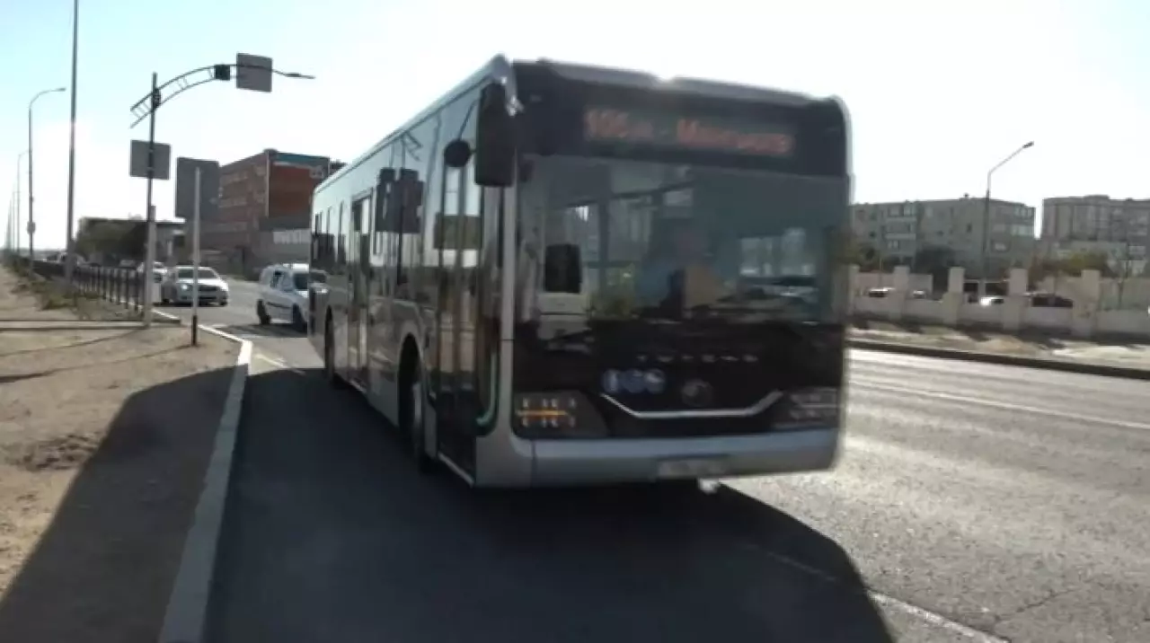 Волонтёры читают лекции по экологии в автобусах