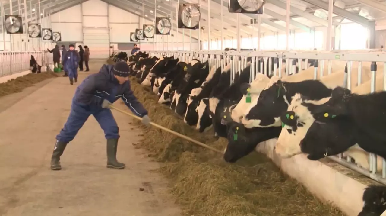 Елімізде кей өнімді экспорттауға тыйым салынды