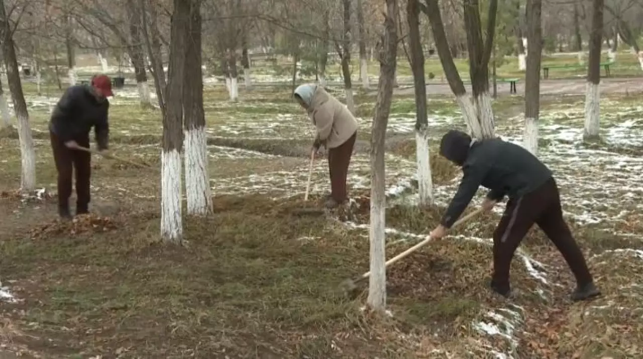 «Таза Қазақстан»: экоактивисты очистили парк в области Жетісу