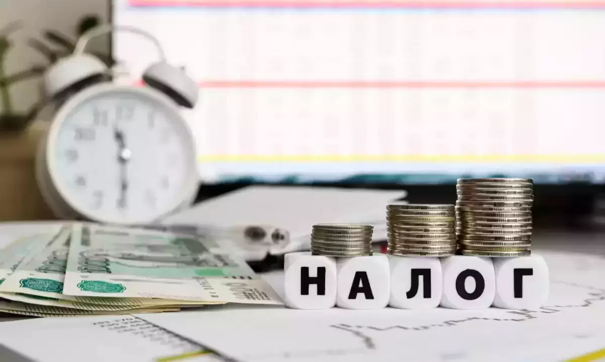 Казахстанцам напомнили о сдаче налоговой отчётности: сроки в ноябре и кто должен отчитаться