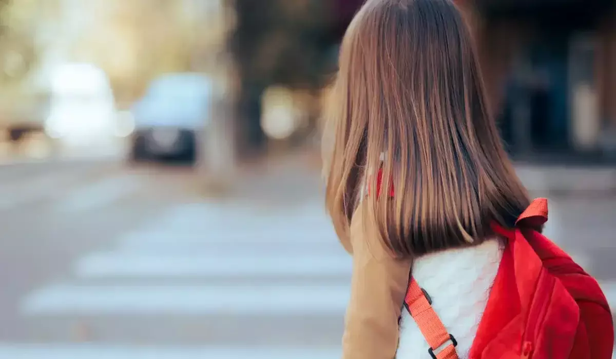 Девочку насмерть сбил грузовик в Алматы: суд вынес окончательное решение