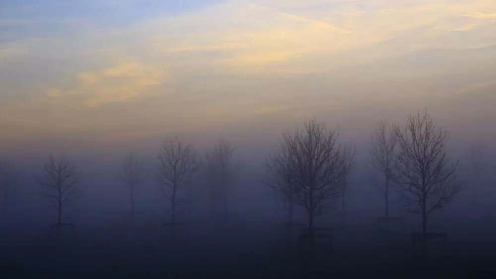 Тұман, көктайғақ, жауын-шашын: 14 аймақта ескерту жарияланды