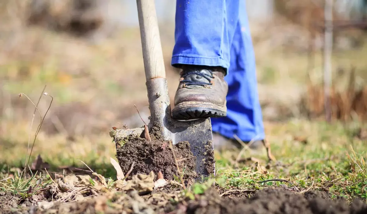 Актюбинец вывез коллегу за город, заставил взять кредит, убил и закопал его