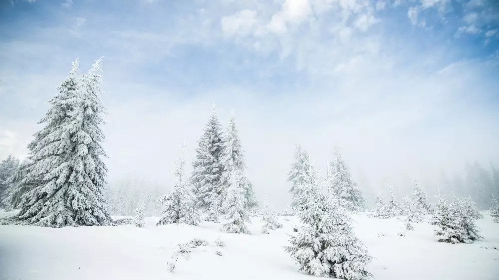 Циклон атакует Казахстан: где будет снег, а где тепло