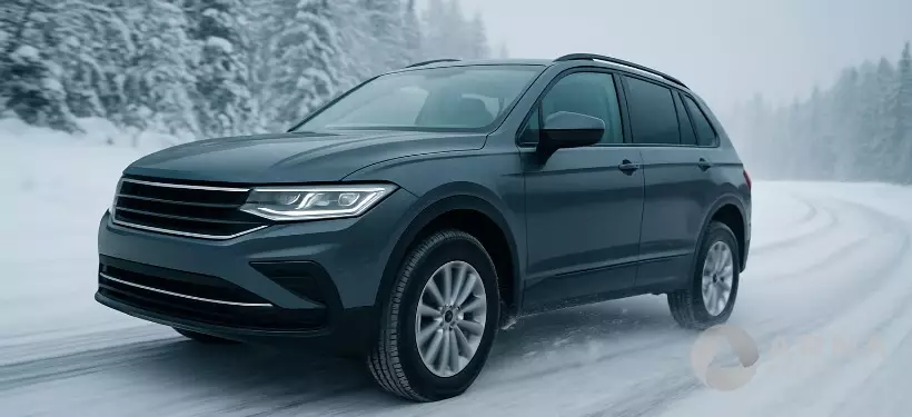 Запрет с 1 декабря: департамент полиции обратился к жителям области Абай