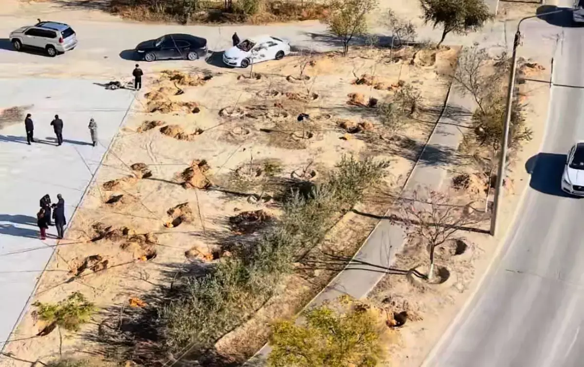 Аллею акаций высадили в 1 микрорайоне Актау - новости на Lada.kz 07.11.2025