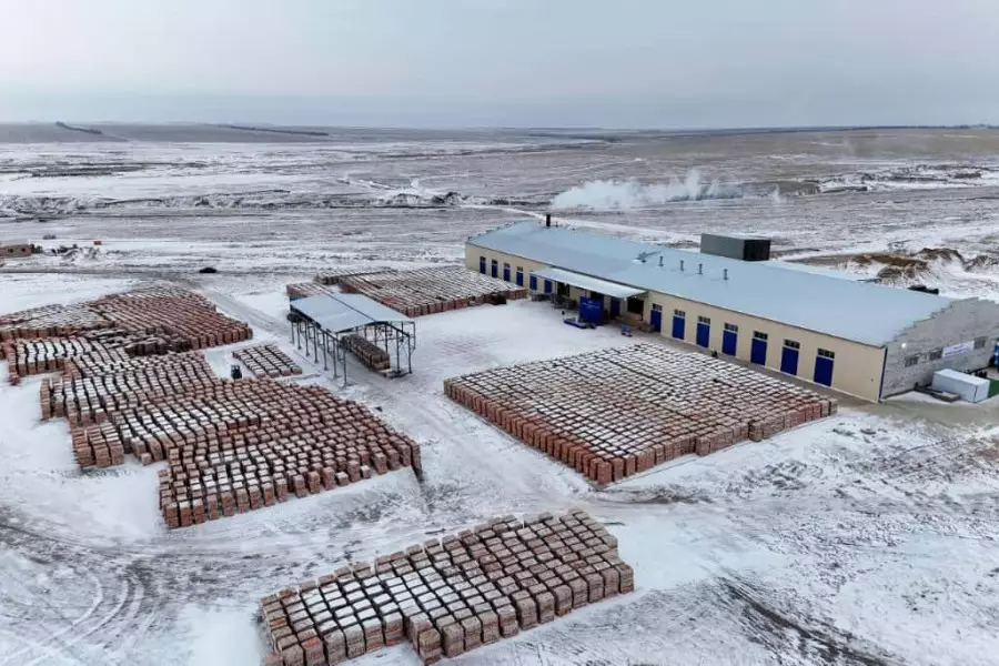 Абай облысының Бородулиха ауданында кірпіш зауыты іске қосылды
