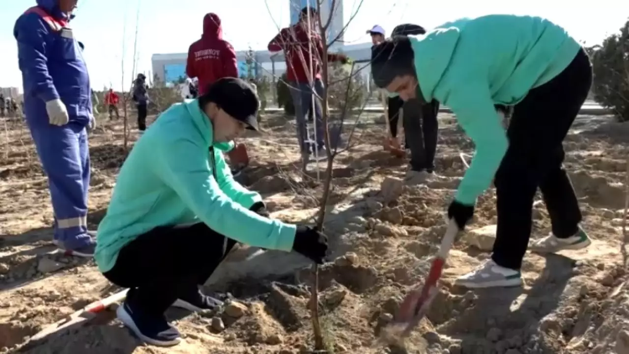 100 деревьев высадили в молодежном парке Актау