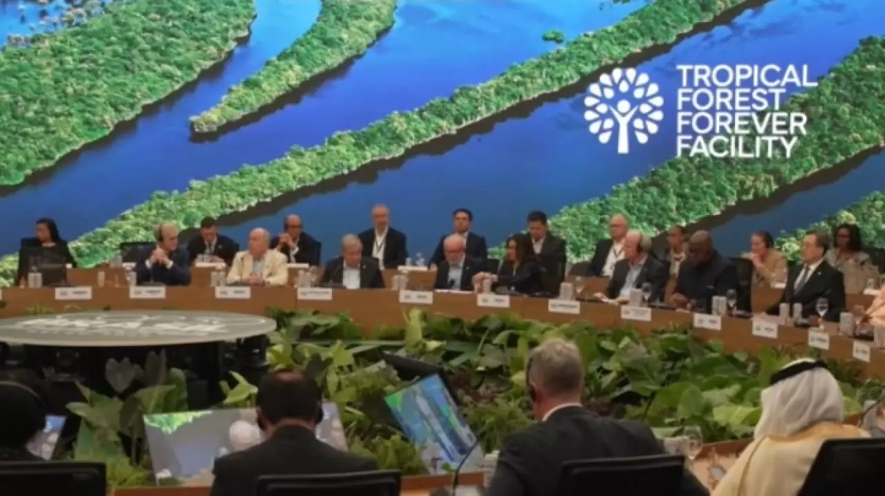 COP30: запущен фонд спасения тропических лесов