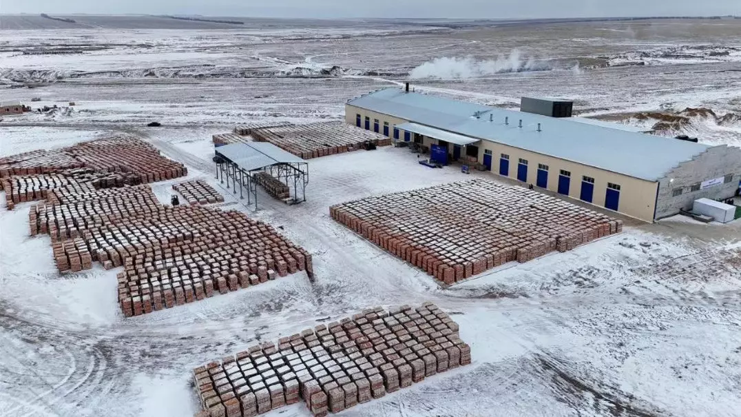 Бородулиха ауданында жаңа кірпіш зауыты ашылды