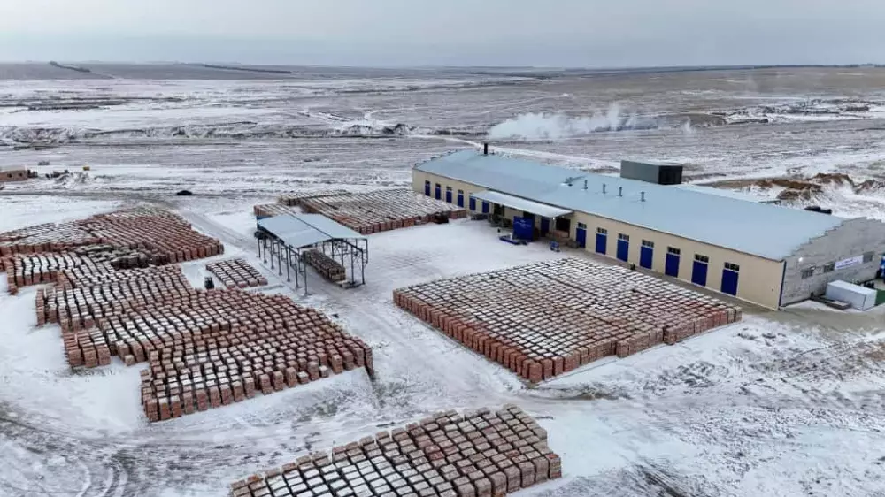 В области Абай запустили кирпичный завод