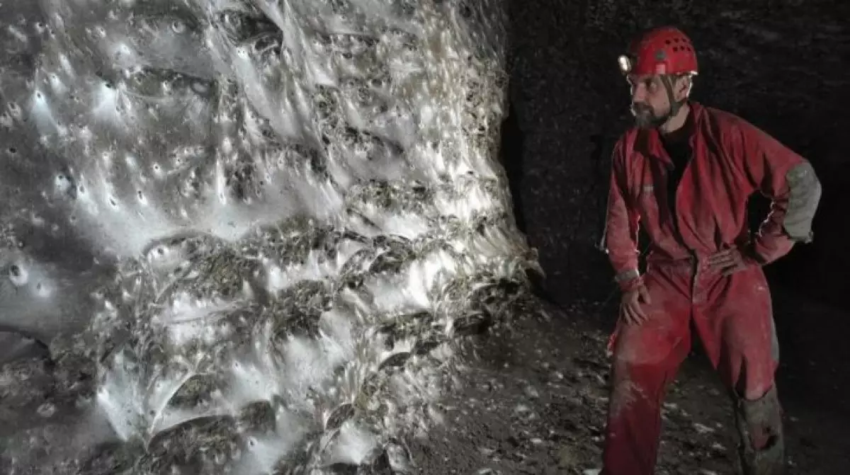 Ученые нашли крупнейшую в мире паутину - в ней живут более 111 тыс. пауков