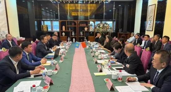 Казахстан будет получать китайские дозволы в неограниченном количестве.