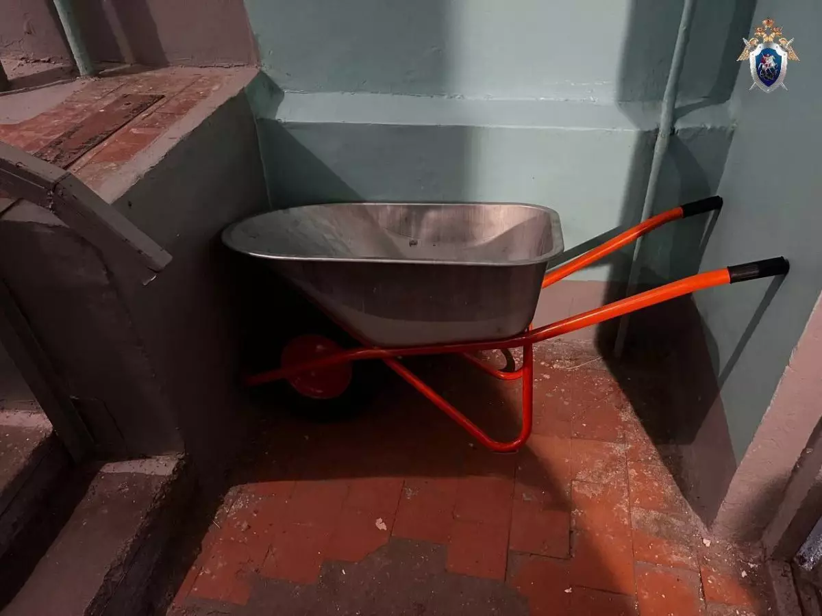 Мужчина убил друга и пытался вывезти тело на тележке