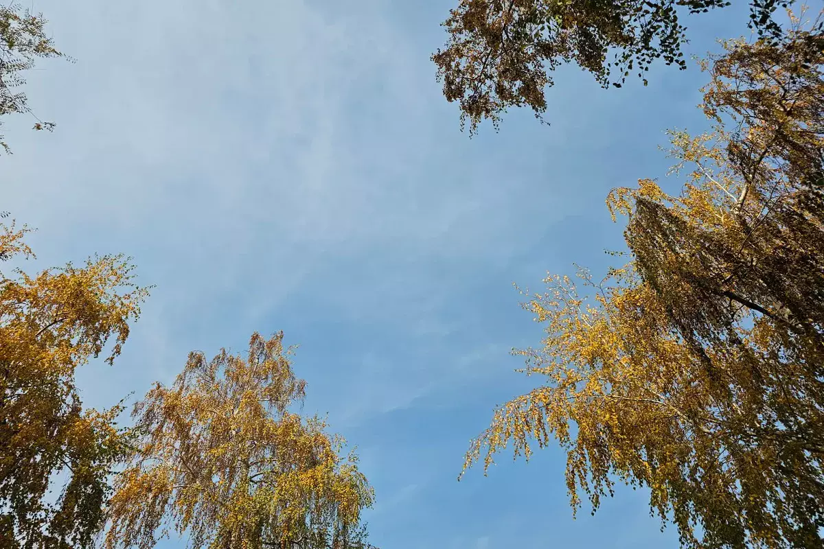 Бүгін кей өңірде қар жауса, кей өңірде күн ашық болады