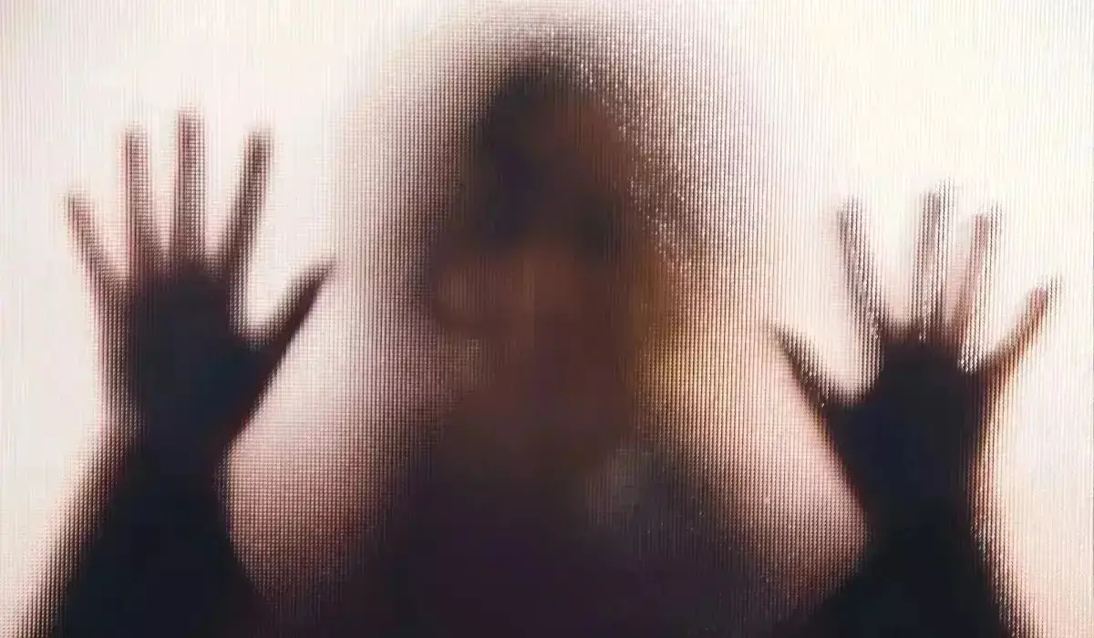 Ақтөбе облысында 50-ден асқан ер адам келінін зорлады деген күдікке ілінді