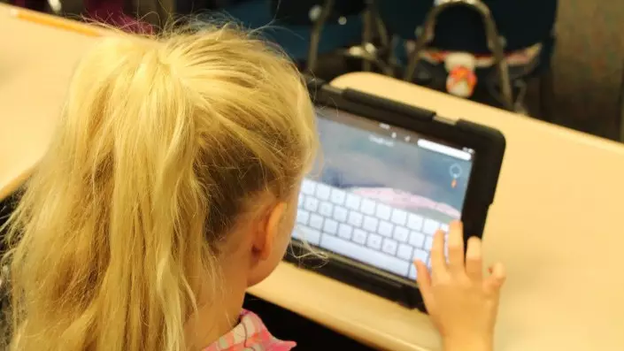 Данияда 15 жасқа дейінгі балаларға әлеуметтік желі қолдануға тыйым салды