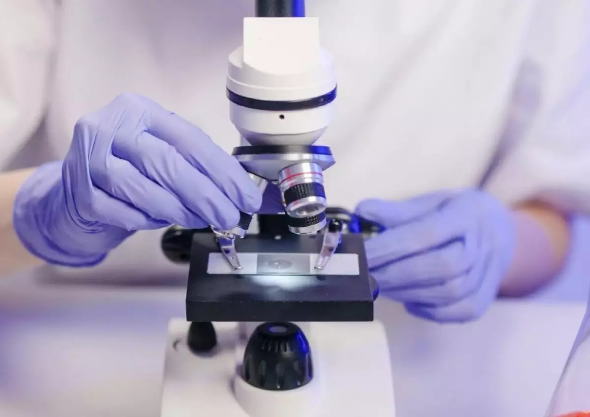 Опасное захоронение: ситуацию с сибирьской язвой прокомментировали в Алматинской области