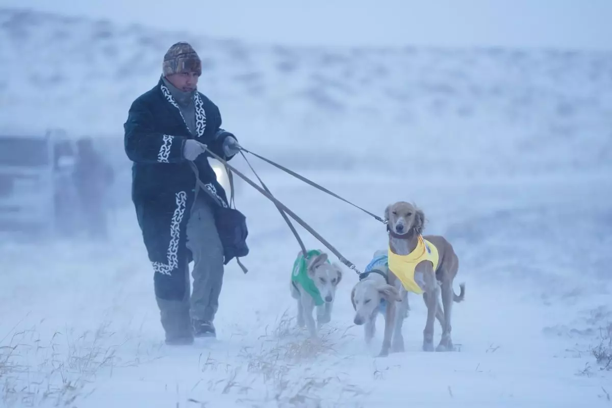 Казахские тазы снова доказали силу и выносливость