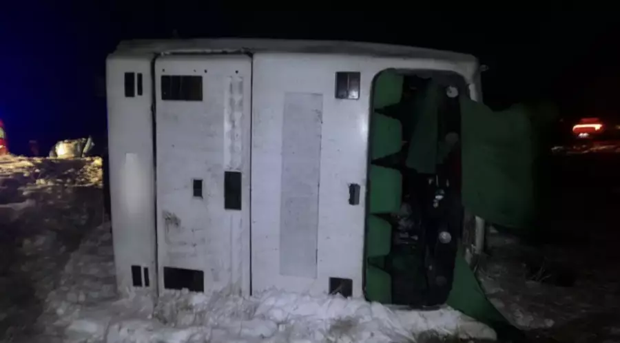 Павлодар облысында автобус аударылып, 17 адам ауруханаға жеткізілді