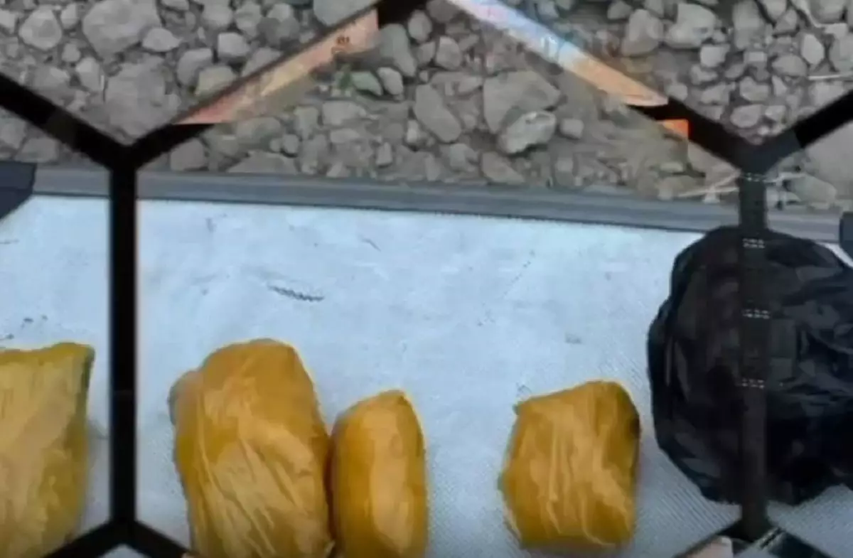 Транспортные полицейские перекрыли наркоканал на более 3 млрд тенге