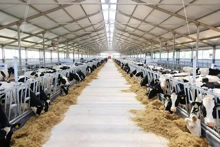 Какие современные технологии внедряют в сёлах Карагандинской области