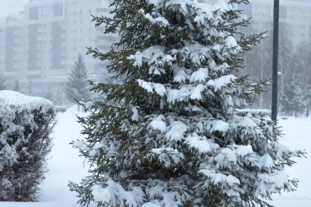 Қазақстан аумағына мұхиттан келген белсенді циклон әсер етеді