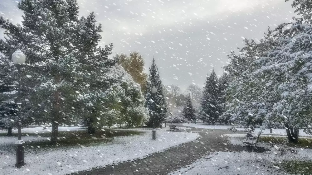 Снежная буря и гололёд накроют Казахстан: прогноз по городам на воскресенье
