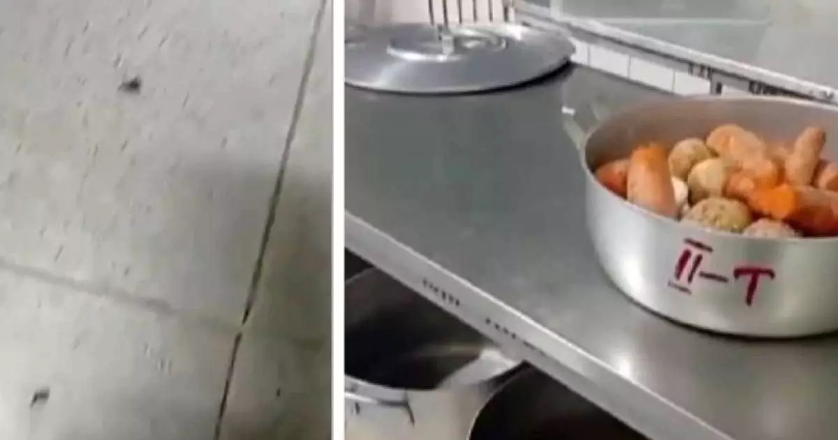  “Ботқадан жәндіктер шыққан”: Балабақшада өріп жүрген жәндіктер жаға ұстатты 