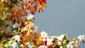 13 өңірге ауа райына байланысты ескерту жасалды