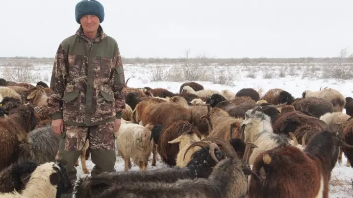 Үкімет шопандарды жарылқамақ