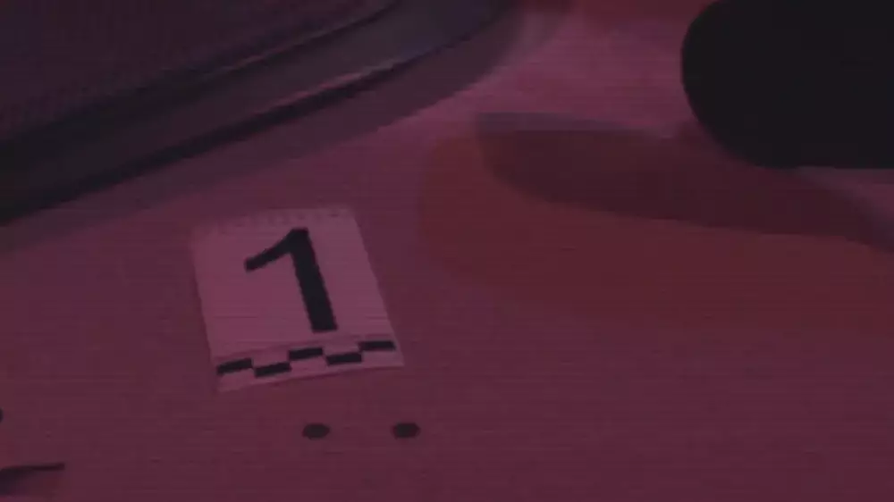 ІІМ ДНҚ-технологияларының көмегімен 2016 жылғы қылмысты ашты