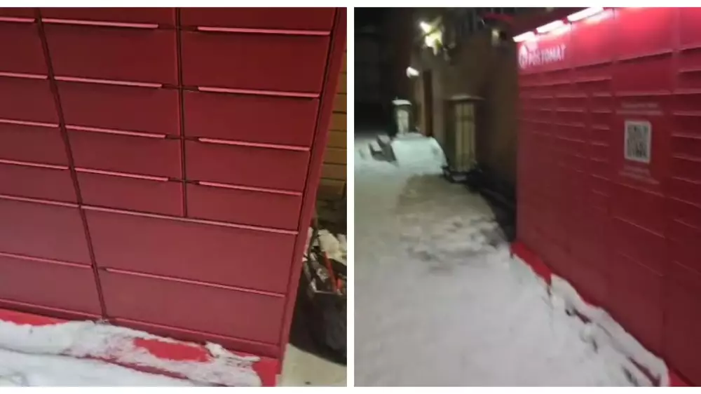 Кота обрекли на гибель в уличном постамате Экибастуза