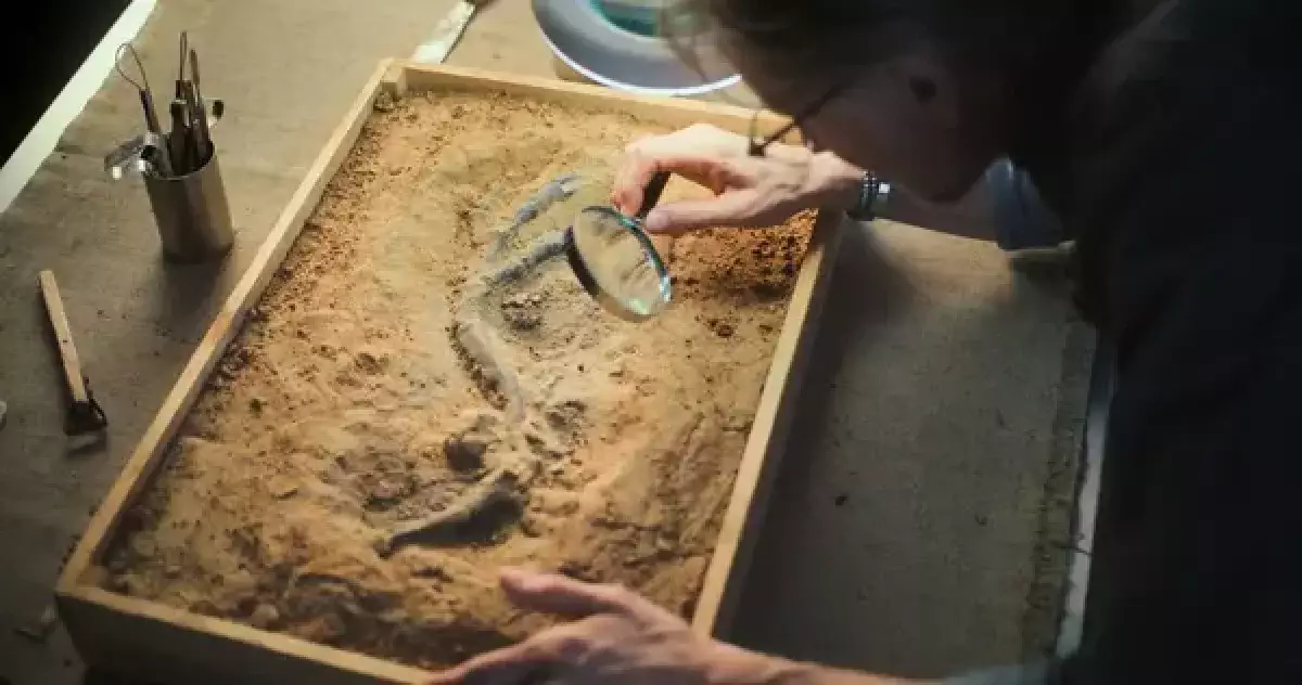 Найдено уникальное нетронутое погребение сакского воина в Центральном Казахстане