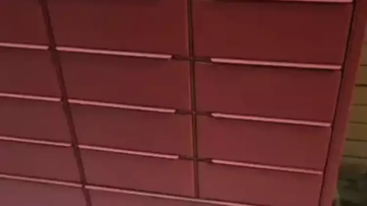 Екібастұзда мысық поштоматтың ұяшығына қамалып, өліп кете жаздады