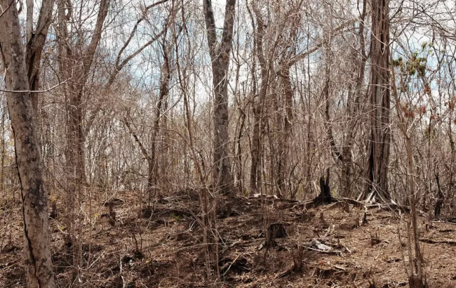 Оралда екі ай бұрын жоғалған 26 жастағы жігіт өлі табылды