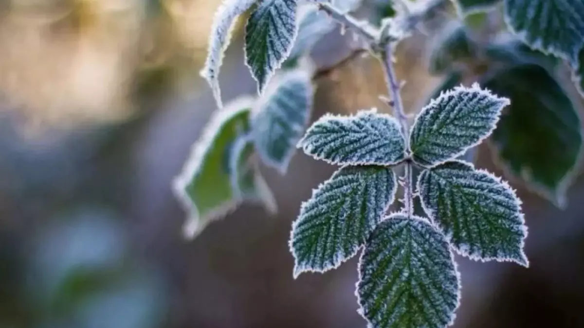 10 қарашада ауа райы қандай болады