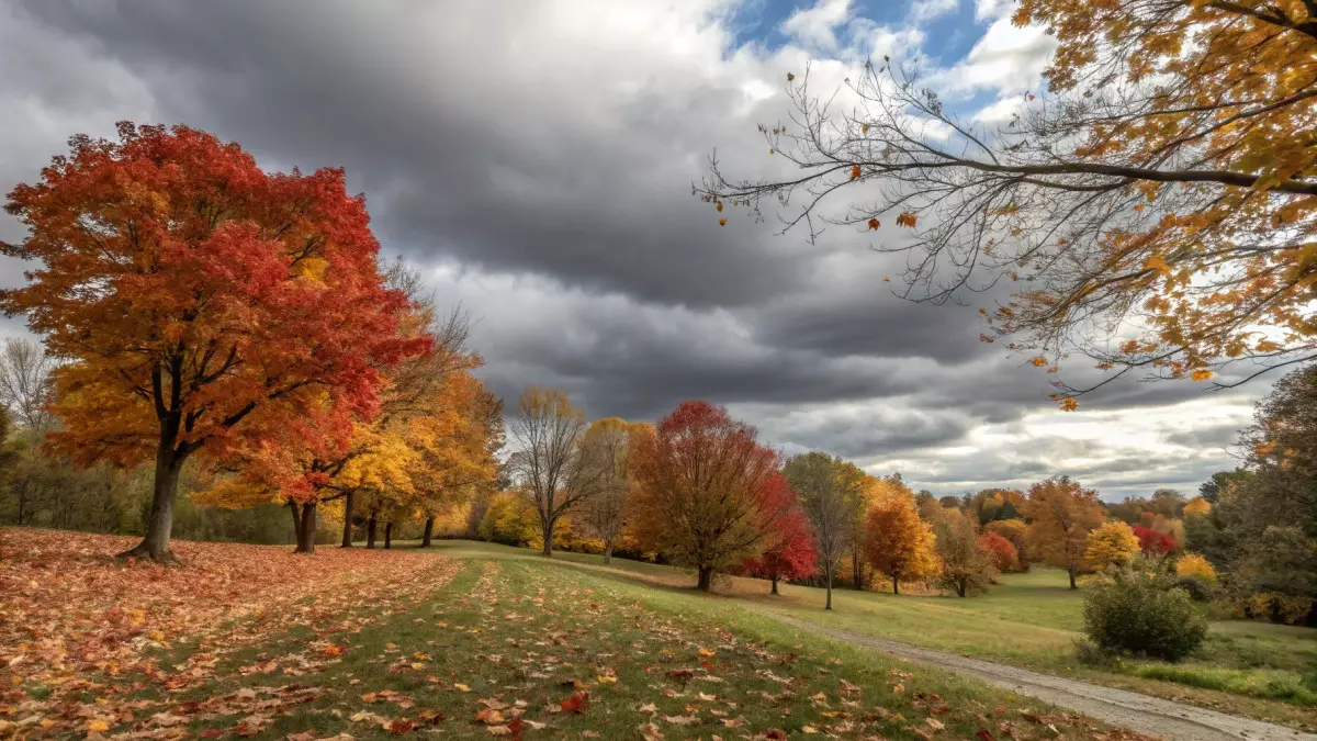 Казахстан ждёт переменчивая погода: от мороза до тепла