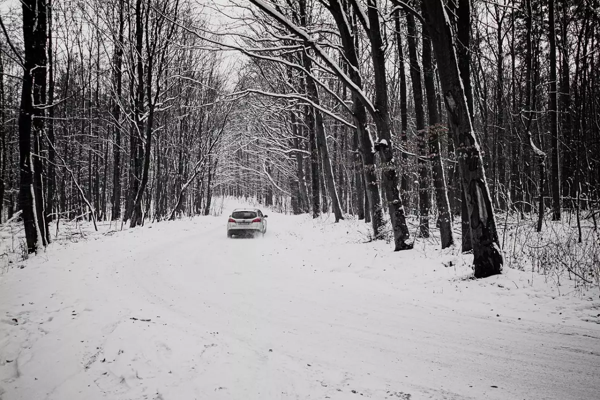 Несколько автодорог перкрыли из-за метели в Казахстане