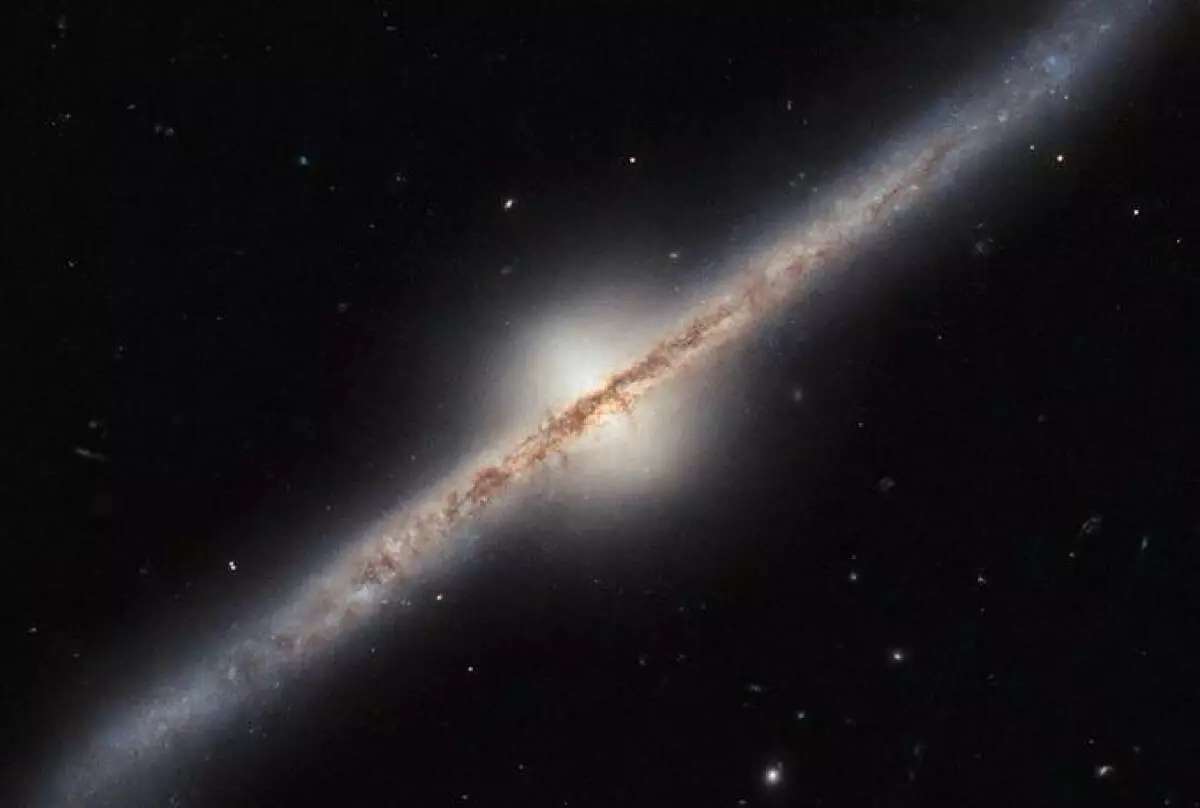 Гороскоп на понедельник 10 ноября: плавный старт и новые идеи